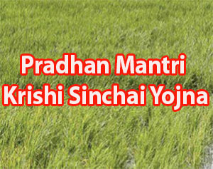 Pradhan Mantri Krishi Sinchai Yojana